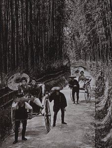 A Bamboo Avenue في كيوتو (صورة بالأبيض والأسود) بواسطة هربرت بونتينج