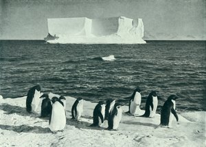A Berg Drifting in McMurdo Sound، c19101913، 1913. بواسطة هربرت بونتينج
