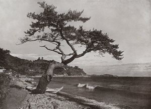 أتامي (b / w photo) بواسطة هربرت بونتينج