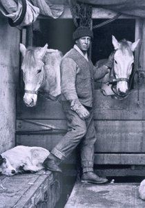 الكابتن أوتس واثنان من المهور على متن Terra Nova ، من "Scott's Last Expedition" (صورة أبيض وأسود) بواسطة هربرت بونتينج