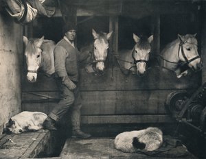 كابتن أوتس ، على تيرا نوفا مع المهور السيبيرية ، c1911 ، 1914.