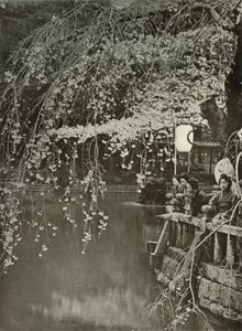 توقيت أزهار الكرز في اليابان ، 1910. بواسطة هربرت بونتينج