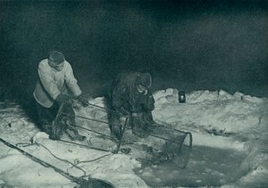 دكتور أتكينسون وكليسولد يسحبان فخ السمك ، 28 مايو 1911 ، 1913 بواسطة هربرت بونتينج