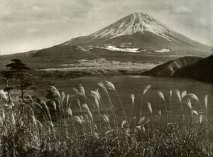 فوجي وكايا غراس ، 1910. بواسطة هربرت بونتينج