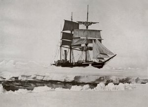 في الحزمة - افتتاح الرصاص ، c19101913 ، 1913 بواسطة هربرت بونتينج