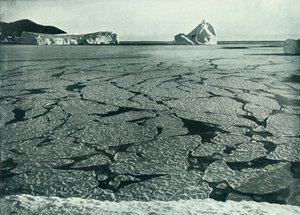 تشكيل فطيرة الجليد في الطوافات قبالة كيب إيفانز ، c19101913 ، 1913. بواسطة هربرت بونتينج