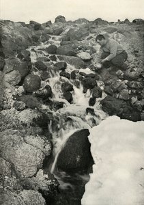 شيء من ظاهرة - تتالي المياه العذبة ، c19101913 ، 1913 بواسطة هربرت بونتينج