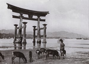 The Old Torii at Miyajima (صورة b / w) بواسطة هربرت بونتينج