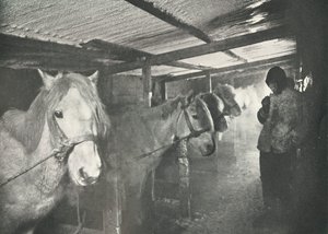 الاسطبلات في الشتاء ، c19101911 ، 1913 بواسطة هربرت بونتينج