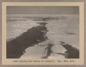 سفينة Terra Nova (1884) التي صمدت في حزمة الجليد بواسطة هربرت بونتينج
