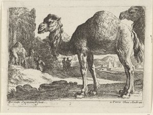 الجمال المناظر الطبيعية مع الحيوانات (عنوان السلسلة) بواسطة تشارلز أودران
