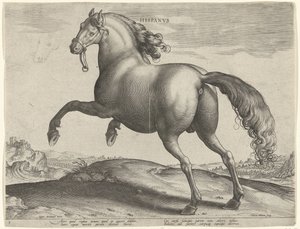 حصان من اسبانيا (Hispanus Alter) Hispanvs (العنوان على الكائن) سلالات الخيول من الاسطبلات الملكية في النمسا دون جوان (عنوان السلسلة) Equile Ioannis Austriaci Caroli (عنوان المسلسل) بواسطة جان فان دير سترايت