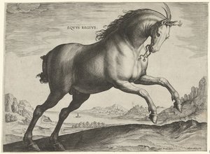 سلالة حصان Equus Regius (الملكية) Eqvvs Regivs (العنوان على الكائن) سلالات الخيول من الاسطبلات الملكية في النمسا دون جوان (عنوان السلسلة) Equile Ioannis Austriaci Caroli (عنوان المسلسل)