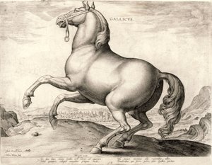 Gallicus من سلسلة خيول من اسطبل دون جوان من النمسا (نقش على نسج)