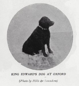 King Edward VII