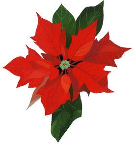 البوينسيتيا بواسطة هيرويوكي ايزوتسو