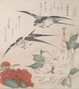 مجموعة مطر الربيع Harusame shu، vol. 3: السنونو والفاوانيا ، كاليفورنيا. 1820. ، كاليفورنيا. 1820. بواسطة هوكوبا