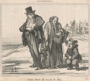بعد أن أساءوا استخدام عنب 1857 بواسطة الشرف دومييه