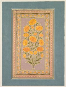 أزهار القطيفة ، ج. 1765. بواسطة هنهار الثاني