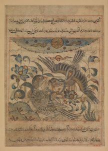 زوج من النسور ، فوليو من منافع الحيوان في نفع الحيوان ... ، كاليفورنيا. 1300. بواسطة ابن بختيشو