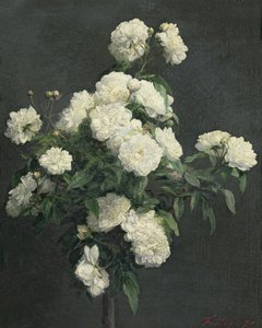 الحياة الساكنة للفاوانيا البيضاء ، 1870