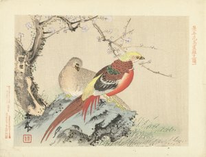 قطيع من الدراج على الصخر اسكتشات الزهور والطيور لكينين (عنوان المسلسل) Keinen Kacho Gafu (عنوان المسلسل على الكائن)