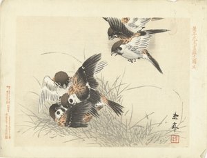 خمسة عصافير في المعركة اسكتشات الزهور والطيور لكينين (عنوان المسلسل) Keinen Kacho Gafu (عنوان المسلسل على الكائن)