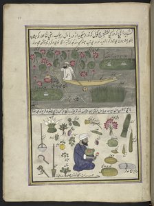 رجل قارب يجمع جذر اللوتس ؛ الزراعة على الماء ،  86 رسمة مجمعة في مجلد تصور الحرف والمهن في كشمير ، يظهر الحرفيون في العمل بأدواتهم ومعداتهم ،  بواسطة فنان من كشمير ، ربما في سريناغار ، حوالي 1850-60 (gou بواسطة المدرسة الهندية