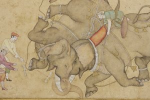 تفاصيل عن قتال الفيل ، مع حدود نبات الأرابيسك المزخرف ، c.1610 (مرحاض غير شفاف وذهب على ورق) بواسطة المدرسة الهندية