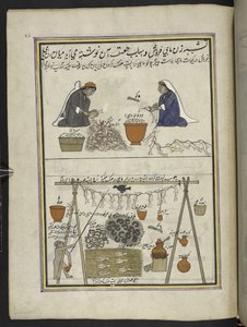 تجار السمك ، النساء اللواتي يملن الأسماك رجل تجفيف الأسماك ،  86 رسمة مجمعة في مجلد تصور الحرف والمهن في كشمير ، يظهر الحرفيون في العمل بأدواتهم ومعداتهم ،  بواسطة فنان من كشمير ، ربما في سريناغار ، حوالي 1850-60 (جواش بواسطة المدرسة الهندية
