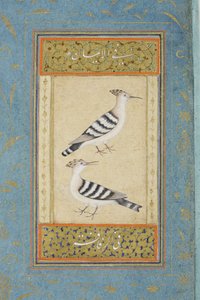 طائرون ، c.1590 (مرحاض غير شفاف وذهب على ورق) بواسطة المدرسة الهندية