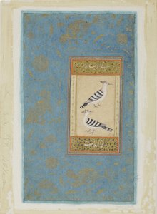 طائرون ، c.1590 (مرحاض غير شفاف وذهب على ورق) بواسطة المدرسة الهندية