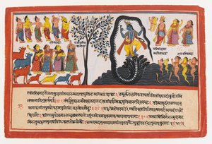 كريشنا ينتصر على الثعبان كاليا ، صفحة من سلسلة Bhagavata Purana المتفرقة ، c.1775 (مرحاض غير شفاف وذهب على ورق) بواسطة المدرسة الهندية