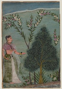 سيدة في البرية ، جزء من صفحة من سلسلة Bhagavata Purana ، c.1590-1600 (مرحاض وذهب على ورق) بواسطة المدرسة الهندية