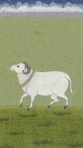 رام مع طوق ذهبي ، 1700-1799 بواسطة المدرسة الهندية