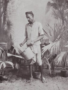  بواسطة مصور هندي