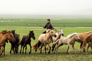 عائلة محلية تجمع خيولها في محمية غون-غالوت الطبيعية بواسطة ايرا بلوك