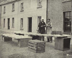 Making Clay Pipes, Drogheda (b/w photo) بواسطة مصور ايرلندي