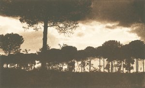  بواسطة مصور إيطالي
