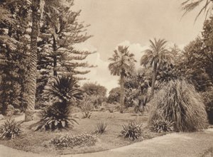  بواسطة مصور إيطالي