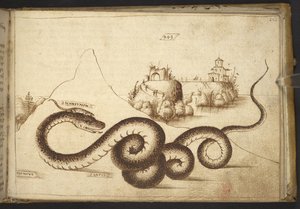 يضيف. 82955، f.242 ثعبان ("أسبيس"). ، من Historia Animalium ، (يتكون من 245 رسماً بالقلم الجاف والحبر لأنواع مختلفة من الحيوانات والمخلوقات الأسطورية ، كل منها مصحوب بوصف.) 1595 بواسطة المدرسة الايطالية