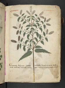 أضف MS 41623 