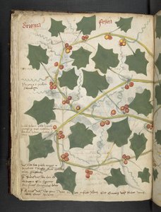 أضف MS 41623 f.53v 