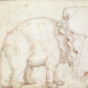 الفيل Hanno و Mahout له بواسطة المدرسة الايطالية