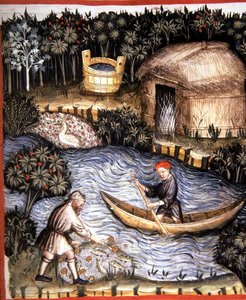 Fol.82r السمك الطازج ، رسم توضيحي من "Tacuinum Santiatis Codex Vindobonensis" (رق) بواسطة المدرسة الايطالية