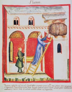 الورقة ٨٥ ظ في الخل ، رسم توضيحي من Tacuinum Santiatis Codex Vindobonensis بواسطة المدرسة الايطالية