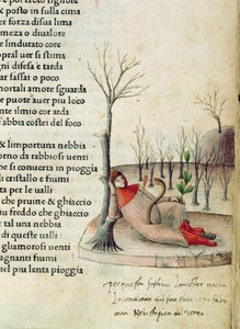 Fol. 52 و من "Canzoniere e Trionfi" بقلم بترارك ، حوالي 1470 بواسطة المدرسة الايطالية