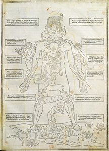 رسم توضيحي من "Fassiculus Medicinae" البندقية بواسطة المدرسة الايطالية