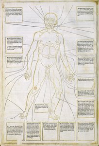 رسم توضيحي من "Fassiculus Medicinae" البندقية بواسطة المدرسة الايطالية