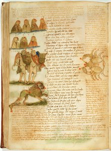 Ms Ital 483 P.4.7 f.156v الجوزاء ، الأسد والسرطان ، من 